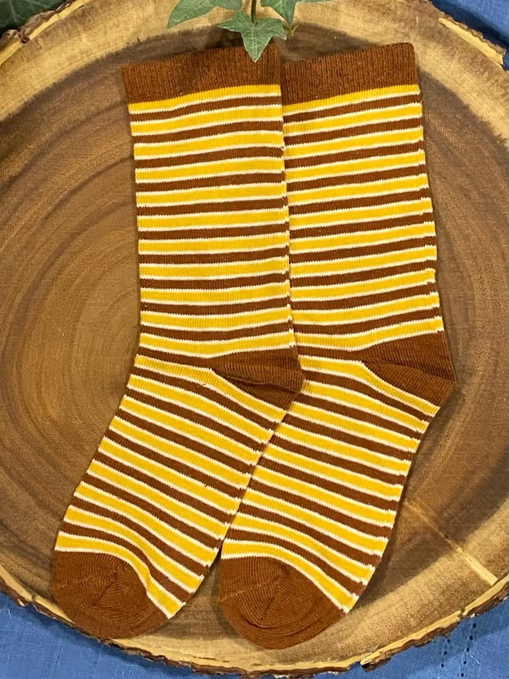Gymboree Boys ‘Happy Harvest’ Gold and White Top with Striped Socks Size 6